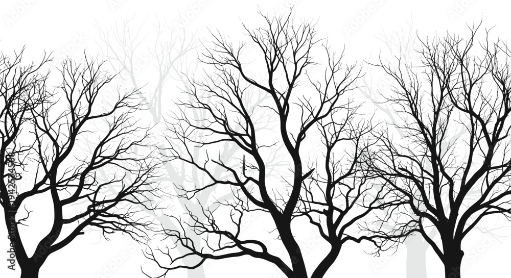 Fototapeta premium Black silhouettes of bare winter trees with complex branch networks against a white background featuring misty faded trees for depth and atmosphere.
