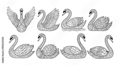 Intricate black and white illustrations of swans in various poses