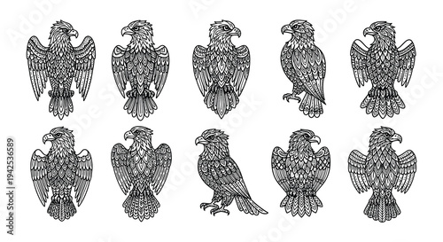 Detailed sketches of eagles with outstretched wings in a repeating pattern