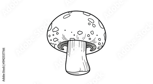 Detailed hand drawn sketch of a single mushroom with spots on its cap and textured gills isolated on a white background for nature themes.