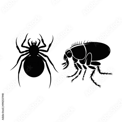 Spider and flea silhouettes set of common pests and insects vector illustration for pest control services