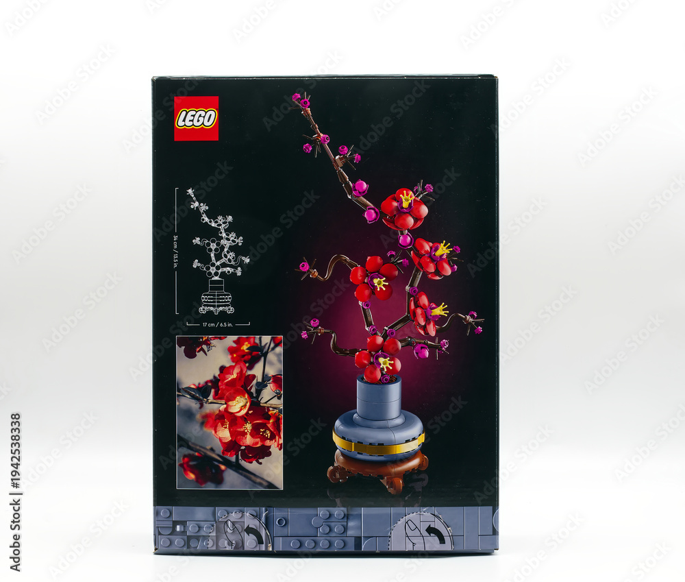 Fototapeta premium Bologna - Italy - March 3, 2026: LEGO Botanicals Plum Blossom set 10369 rear packaging isolated on white background.
