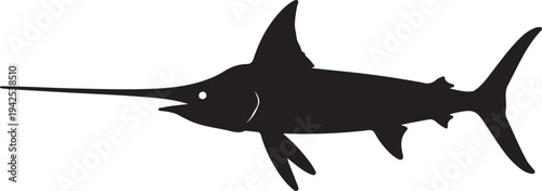 Swordfish on white background.