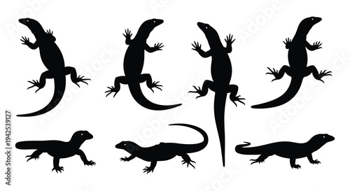 Silhouettes of various lizards in different poses and orientations