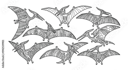 A collection of intricately detailed pterosaur illustrations in black and white