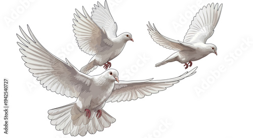 Three white doves flying against a white background, symbolizing peace and freedom.