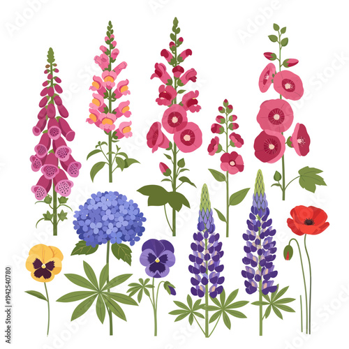 Whimsical Garden Flowers Collection: Foxglove, Hollyhock, Pansy, Poppy, Lupin, Hydrangea