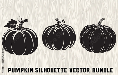 Pumpkins vine silhouette set with curling tendrils and maple leaves, autumn harvest border elements in black, decorative Halloween squash clipart on white