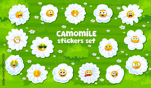 Chamomile daisy flowers characters face stickers pack. Spring flower character vector patch, summer daisy personages. Blooming chamomile sticker with laughing, sad, crazy and foolish, surprised face