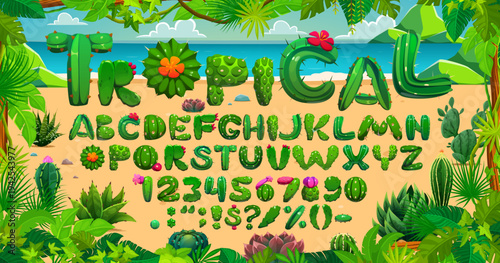 Green cactus font, succulent typeface, mexican cacti type alphabet letters and numbers at tropical beach and sea vector background. Cartoon cactus and succulents font of prickly green plants, flowers