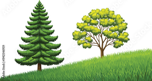 Lush green grassy hill landscape with evergreen spruce pine tree and deciduous leafy tree isolated on white background vector illustration