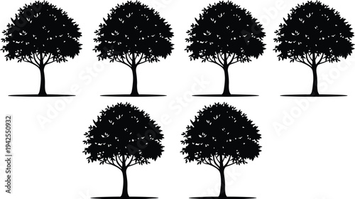 Silhouette collection of trees, botanical artwork illustration, nature design inspiration, environmental icon set for landscape and ecology themes