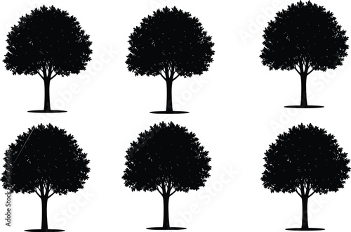 Silhouette collection of trees, nature artwork illustration, environmental design inspiration, botanical icon set for landscape and ecology themes