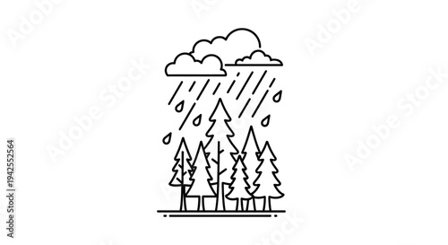Rainy weather with pine trees.