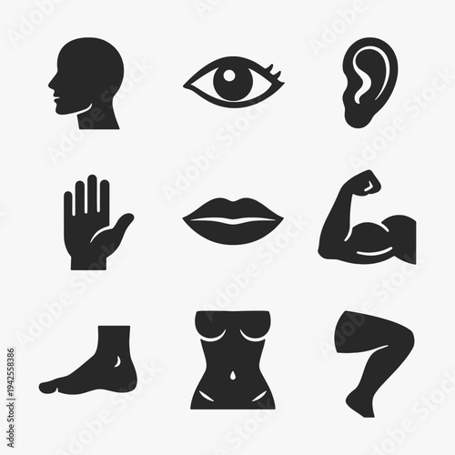 A set of human body parts icons focuses on simplicity, elegance, and ease of recognition. Vector Sign for Logos, Labels, and Icons