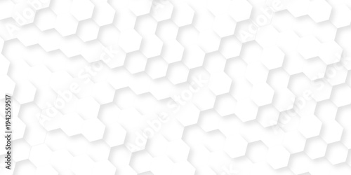 Abstract white grid presentation surface mosaic and tiles minimal tech bee website science element grid overlay white hexagon futuristic technology geometric texture background.