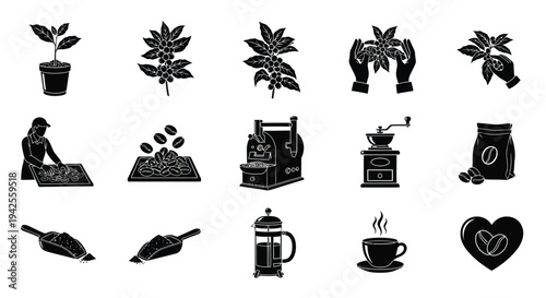 Coffee production process icons in black including a hand silhouette