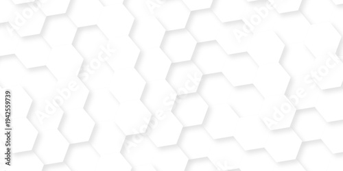 Abstract white grid presentation surface mosaic and tiles minimal tech bee website science element grid overlay white hexagon futuristic technology geometric texture background.