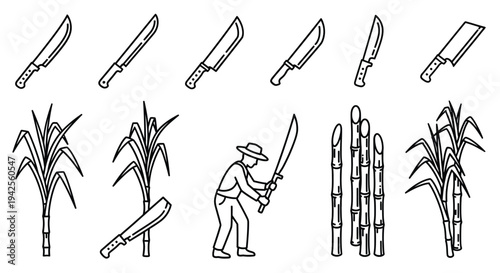 Various blades sugarcane and a farmer with machete a black outline silhouette