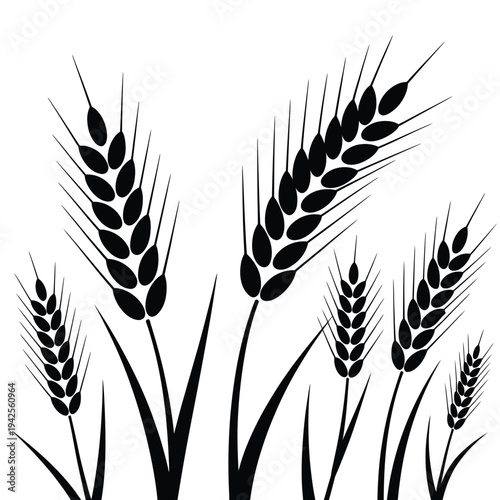 A minimalist black and white illustration depicting several stalks of wheat