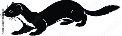 Silhouette black ferret running vector design
