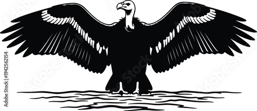 Silhouette Eagle Bird Flying Over Water vector design