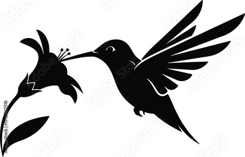 Silhouette Hummingbird Feeding on Flower vector design