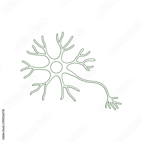 A simple green line drawing of a neuron with a cell body and projections