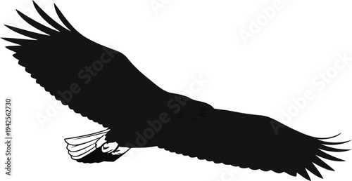 Silhouette of soaring eagle with outstretched wings isolated on white background vector illustration