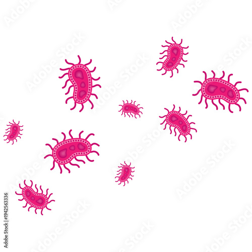 Salmonella Bacterium Icon