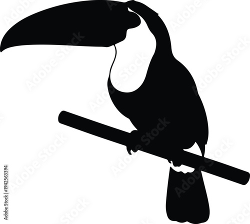 Silhouette of a toucan bird perched on branch vector design
