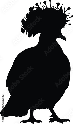 Silhouette of bird with elegant plumage vector design