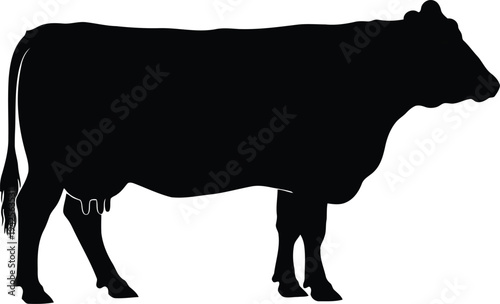 Black Silhouette of Dairy Cow Isolated on White Background for Farm and Agriculture Design