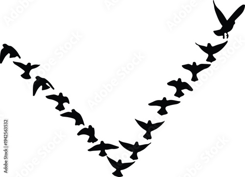 Silhouette of birds flying in a V formation vector design