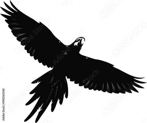 Black Silhouette of Flying Parrot with Outstretched Wings Isolated on White Background