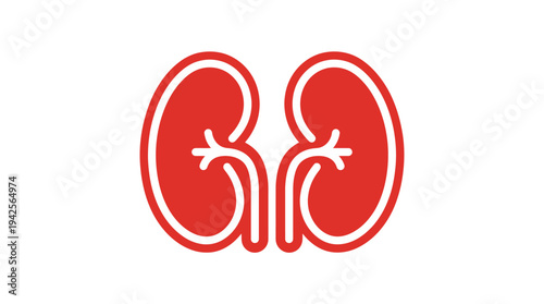 Red Human Kidney Icon Isolated on White Background for Medical