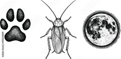 Engraving Style Vector Illustration Set Featuring a Detailed Paw Print, a Realistic Cockroach, and a Textured Full Moon Motif for Creative Nature and Biological Graphic Design Projects