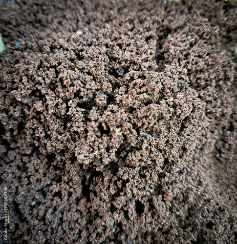 Dark Brown Soil Texture Background – Natural Organic Ground Close Up