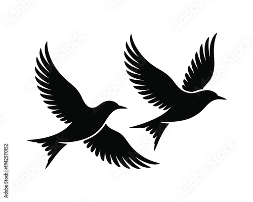 Two black birds flying in the air with their wings spread wide on a white background