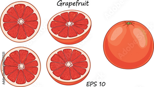 Grapefruit Fruit Illustration, Fresh Sliced and Whole Grapefruit Design