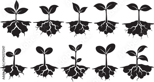 Plant Growth Stages Silhouette Illustration