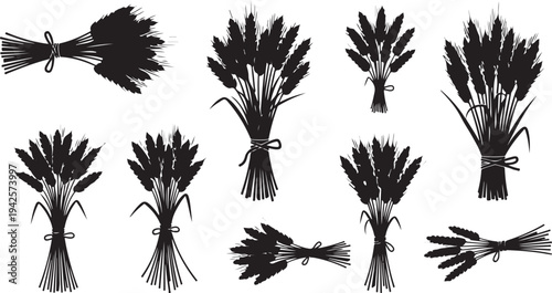 Black and white illustration of wheat bundles tied together