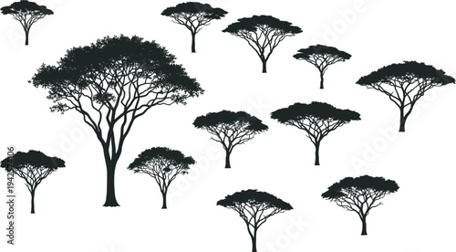 Set of black acacia tree silhouettes, African savanna landscape elements, desert safari nature vectors, flat botanical icons for graphic design and outdoor themes