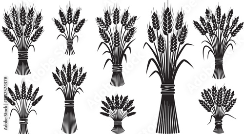 Various bundles of wheat on white background illustration