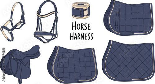 Equestrian Horse Harness and Saddle Gear Set, Horse Riding Equipment Illustration"