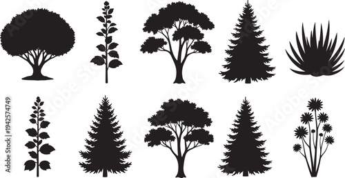 Set of black tree and plant silhouettes, pine and oak species, botanical flora icons, garden vegetation elements for nature themed graphic design projects