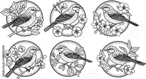 Birds Perched on Branches with Blossoms Vector Illustrations