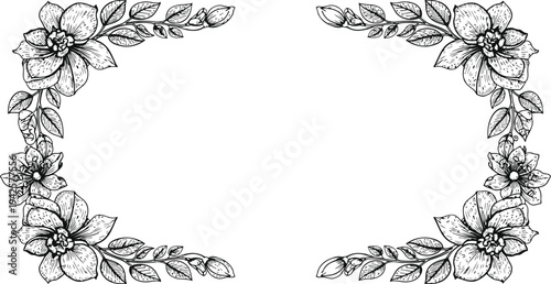 Floral Corner Accents Decorative Flourish Botanical Element Vector