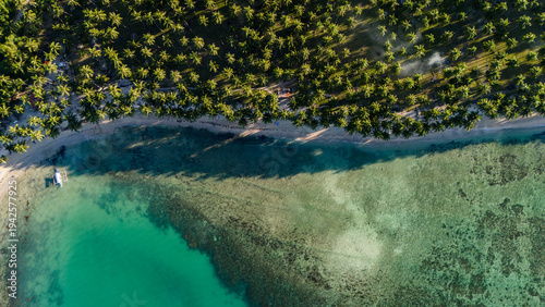 Valokuva rone perspective showing the contrast between a lush palm grove and the transparent sea in the Philippines