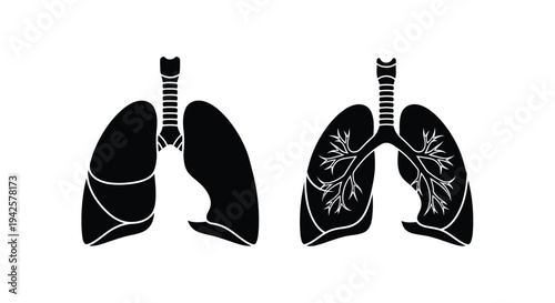 Anatomical illustration of healthy and diseased lungs in black and white